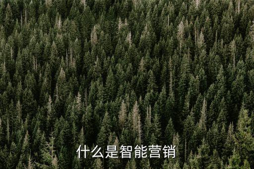 什么是智能營銷