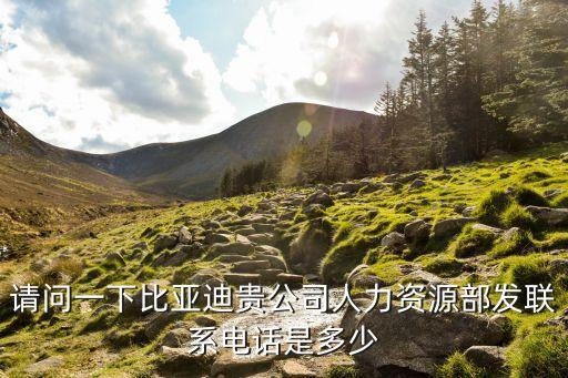 請問一下比亞迪貴公司人力資源部發(fā)聯(lián)系電話是多少