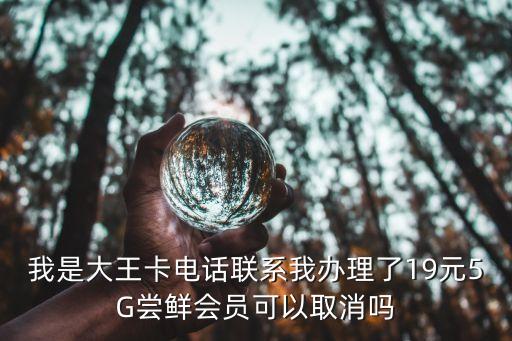 我是大王卡電話聯系我辦理了19元5G嘗鮮會員可以取消嗎