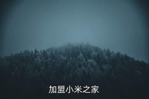 加盟小米之家