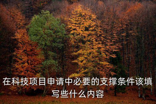 在科技項(xiàng)目申請(qǐng)中必要的支撐條件該填寫(xiě)些什么內(nèi)容
