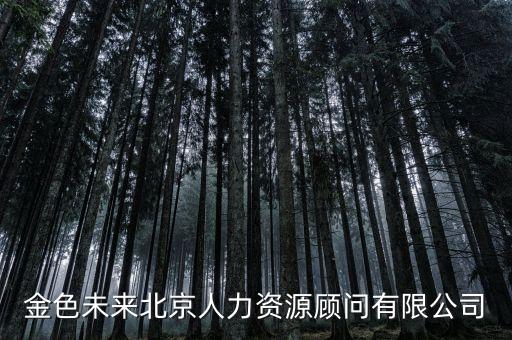 未來(lái)科技官網(wǎng)招聘，金色未來(lái)北京人力資源顧問(wèn)有限公司
