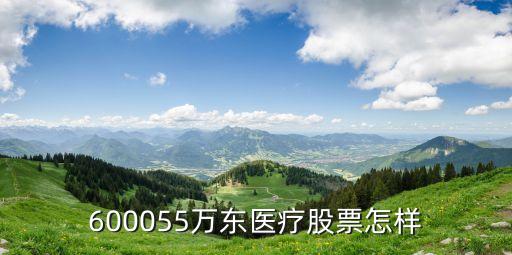 600055萬東醫(yī)療股票怎樣