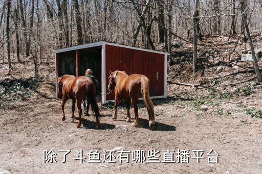 除了斗魚還有哪些直播平臺