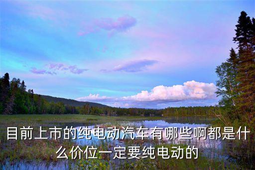 目前上市的純電動汽車有哪些啊都是什么價位一定要純電動的