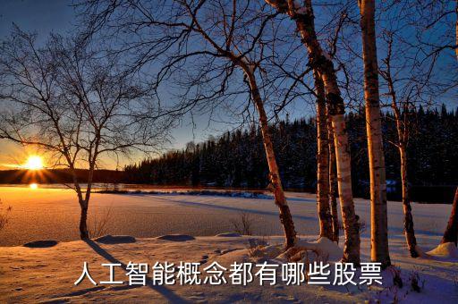 ai人工智能芯片股票，人工智能概念都有哪些股票