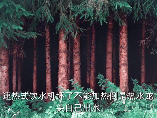 速熱式飲水機壞了不能加熱倒是熱水龍頭自己出水