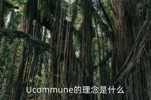 為創(chuàng)新賦能，為培養(yǎng)創(chuàng)新精神提高創(chuàng)新能力我們青少年該怎么做