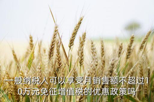 一般納稅人可以享受月銷售額不超過(guò)10萬(wàn)元免征增值稅的優(yōu)惠政策嗎
