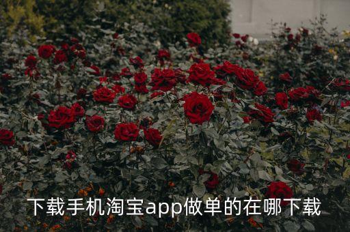 下載手機淘寶app做單的在哪下載