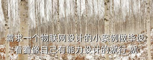 需求一個物聯(lián)網(wǎng)設(shè)計的小案例做畢設(shè) 看著像自己有能力設(shè)計的就行 就