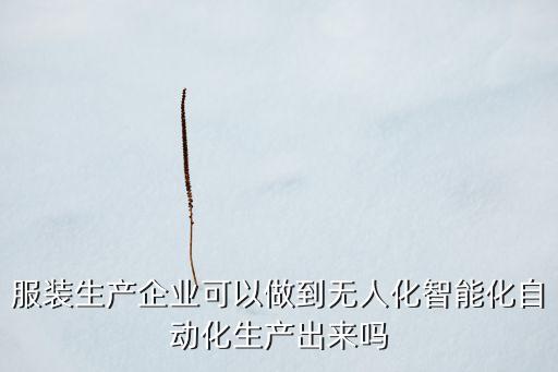 服裝生產(chǎn)企業(yè)可以做到無人化智能化自動化生產(chǎn)出來嗎