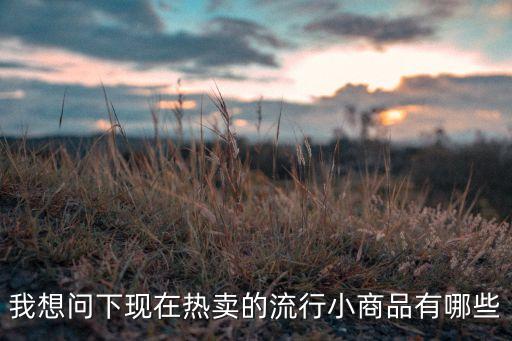我想問下現(xiàn)在熱賣的流行小商品有哪些