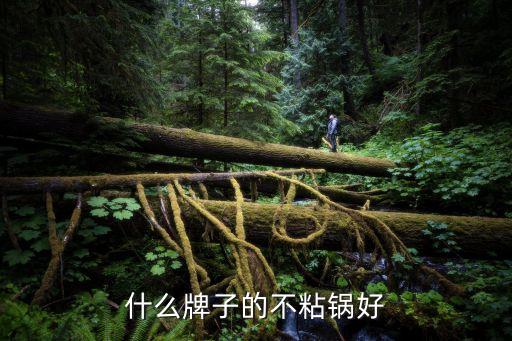 家用不粘鍋什么牌子好，哪個(gè)牌子的不粘鍋好