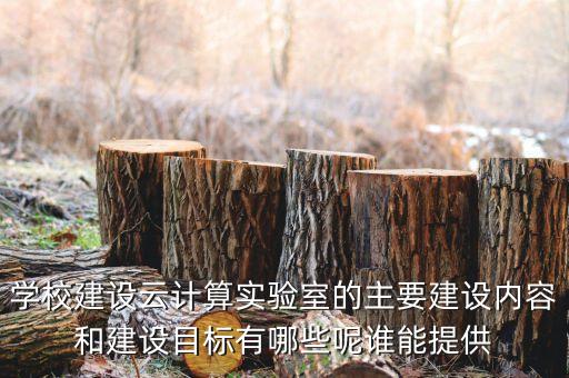 中小學(xué)人工智能實(shí)驗(yàn)室建設(shè)內(nèi)容，實(shí)驗(yàn)室基礎(chǔ)建設(shè)一般常用項(xiàng)目有哪些