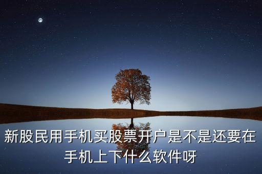 新股民用手機買股票開戶是不是還要在手機上下什么軟件呀