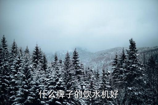 什么牌子的飲水機好