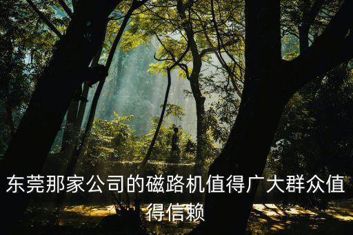 東莞那家公司的磁路機(jī)值得廣大群眾值得信賴