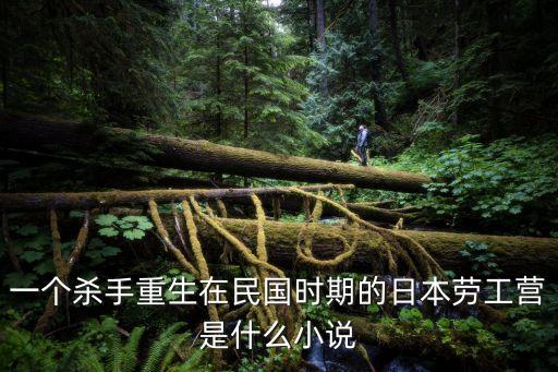 一個(gè)殺手重生在民國時(shí)期的日本勞工營是什么小說