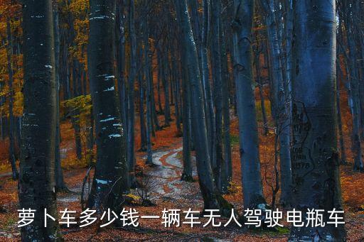 蘿卜車多少錢一輛車無人駕駛電瓶車