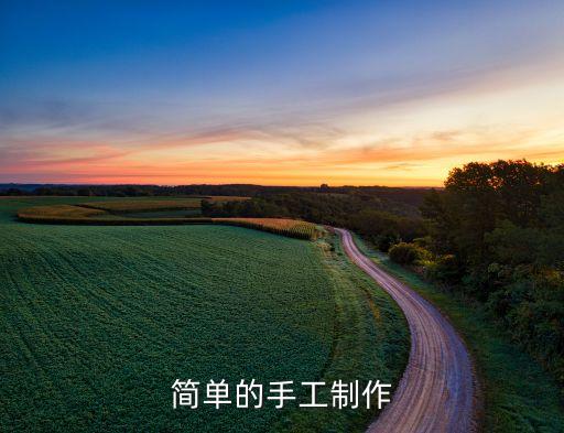簡(jiǎn)單的手工制作