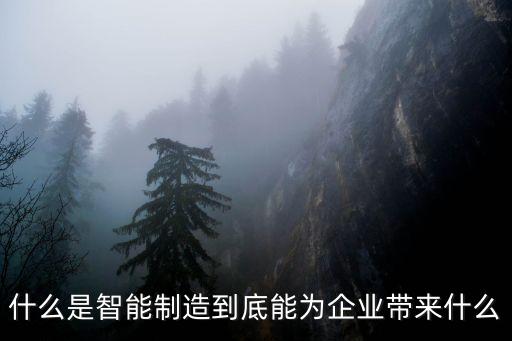 什么是智能制造到底能為企業(yè)帶來什么
