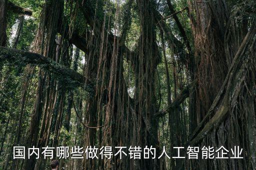 國(guó)內(nèi)有哪些做得不錯(cuò)的人工智能企業(yè)