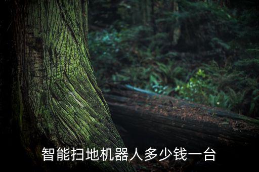 智能掃地機(jī)器人多少錢一臺
