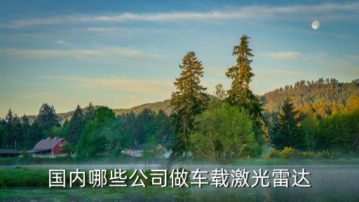 國內(nèi)哪些公司做車載激光雷達(dá)