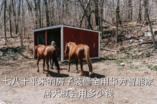 七八十平米的房子裝修全用華為智能家居大概會用多少錢