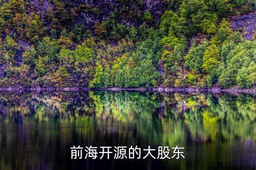 openai股東，招聯(lián)消費(fèi)金融有限公司兩大股東是什么