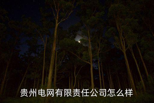 貴州電網(wǎng)有限責(zé)任公司怎么樣