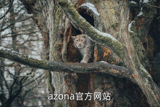 azona官方網(wǎng)站