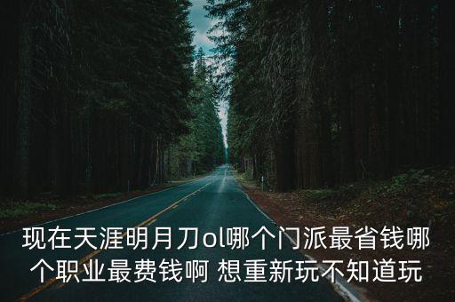 現(xiàn)在天涯明月刀ol哪個(gè)門派最省錢哪個(gè)職業(yè)最費(fèi)錢啊 想重新玩不知道玩