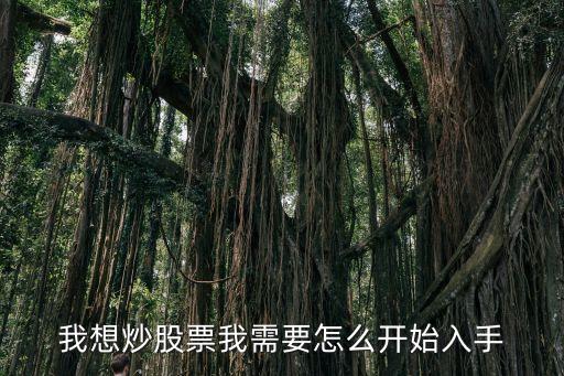 我想炒股票我需要怎么開始入手