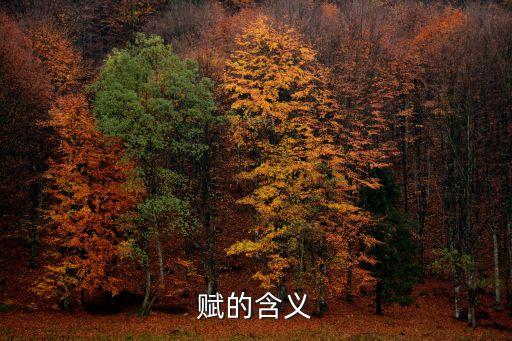 賦能的含義是什么意思，為人賦能是什么意思
