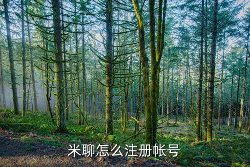 米聊怎么注冊帳號