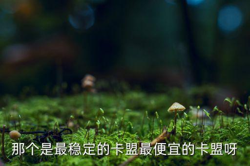 那個(gè)是最穩(wěn)定的卡盟最便宜的卡盟呀
