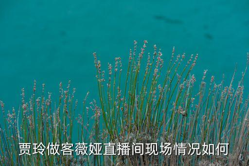 機器人直播帶貨，賈玲做客薇婭直播間現(xiàn)場情況如何