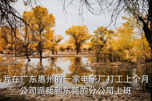 我在廣東惠州的一家電子廠打工上個(gè)月公司派我到東莞的分公司上班