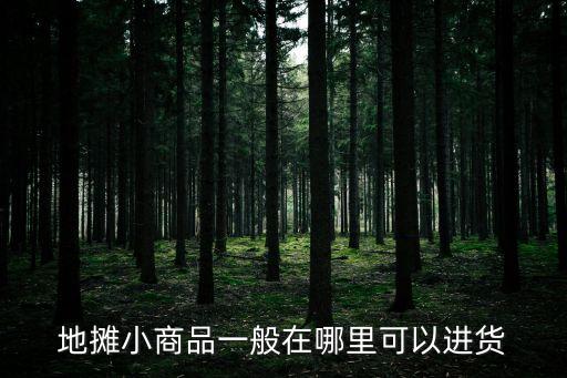 地?cái)傂∩唐芬话阍谀睦锟梢赃M(jìn)貨