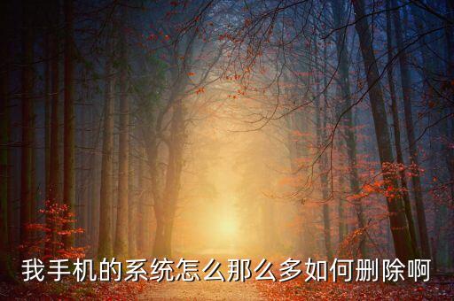 我手機(jī)的系統(tǒng)怎么那么多如何刪除啊