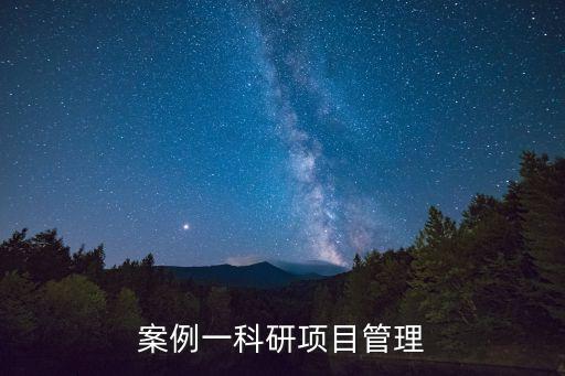 案例一科研項目管理