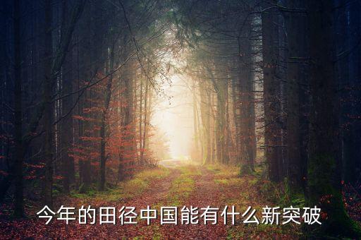 今年的田徑中國能有什么新突破