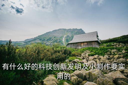 有什么好的科技創(chuàng)新發(fā)明及小制作要實(shí)用的