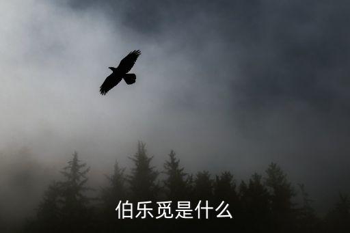 時(shí)代中國(guó)招聘官網(wǎng)，世紀(jì)龍信息網(wǎng)絡(luò)有限責(zé)任公司