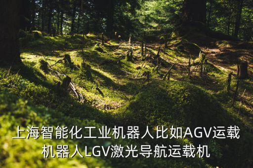 上海智能化工業(yè)機(jī)器人比如AGV運(yùn)載機(jī)器人LGV激光導(dǎo)航運(yùn)載機(jī)