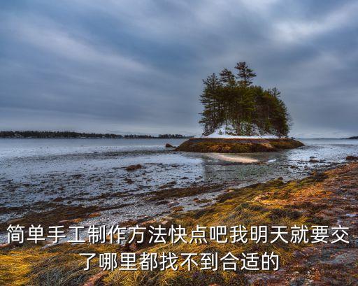 簡(jiǎn)單手工制作方法快點(diǎn)吧我明天就要交了哪里都找不到合適的