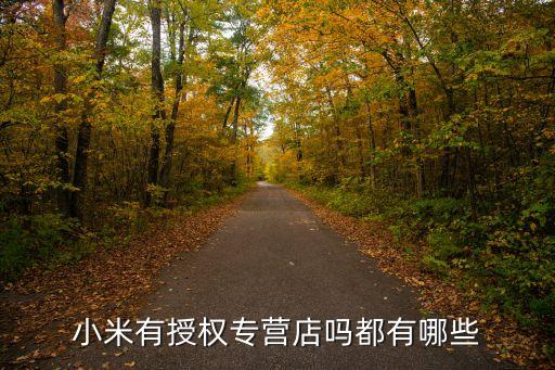 米家直營店，小米有授權(quán)專營店嗎都有哪些