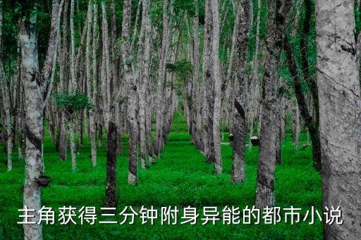 主角獲得三分鐘附身異能的都市小說